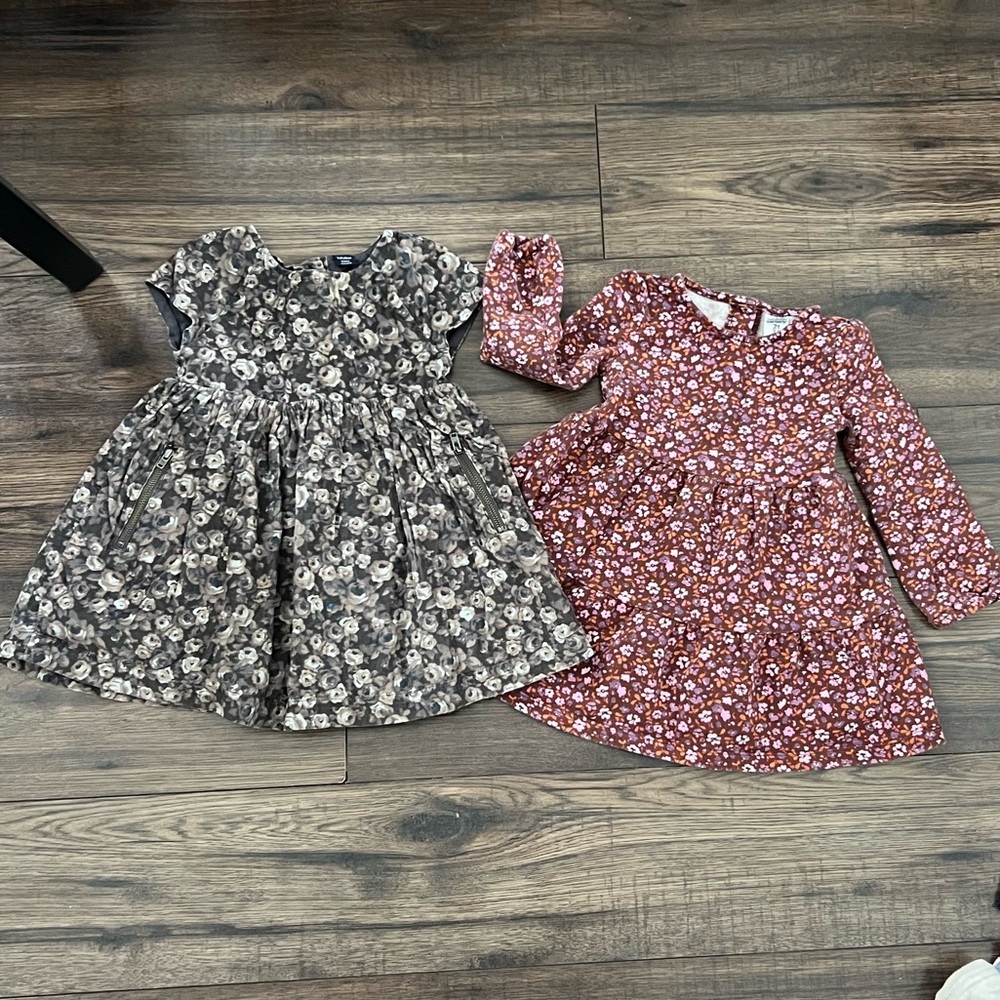 Lot of 2 x 2T Dresses | Gap + Carter’s